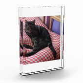 可愛いデイブアクリルフォトブロック フォトブロック (左)