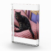 可愛いデイブアクリルフォトブロック フォトブロック (右)