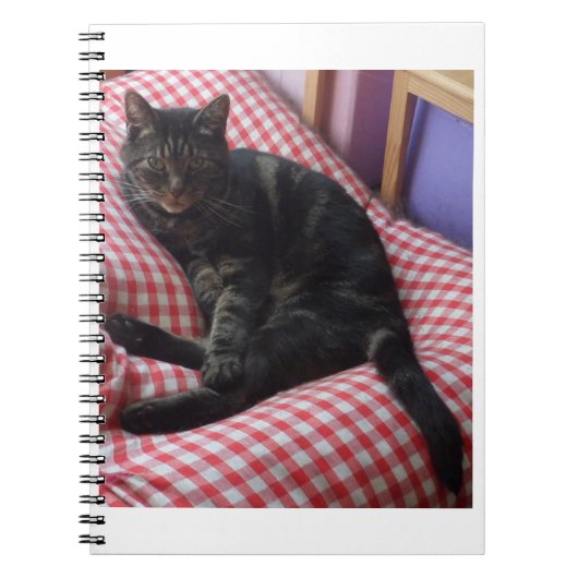 可愛いデイブスパイラルノート ノートブック (正面)