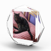 可愛いデイブ八角形フォトブロック フォトブロック (右)