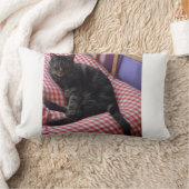 可愛いデイブ腰枕 ランバークッション (ブランケット)