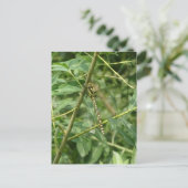 可愛いトンボDIYポストカード保持 ポストカード (スタンド正面)