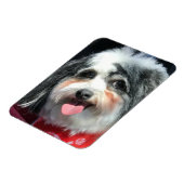 可愛いドッグマグネット、K-CeeレッドスカーフII マグネット (左側)