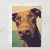 可愛いドバーマンチルドバースデーパーティー 招待状 (裏面)