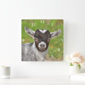 可愛いナイジェリア人矮性乳製品ヤギの子 スクエア壁時計 (ホーム)