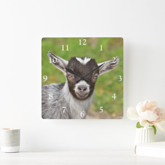 可愛いナイジェリア人矮性乳製品ヤギの子 スクエア壁時計 (ホーム)