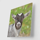 可愛いナイジェリア人矮性乳製品ヤギの子 スクエア壁時計 (傾斜)