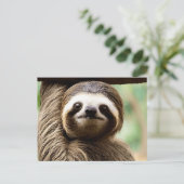 可愛いナマケモノの背景 シーズンポストカード (スタンド正面)