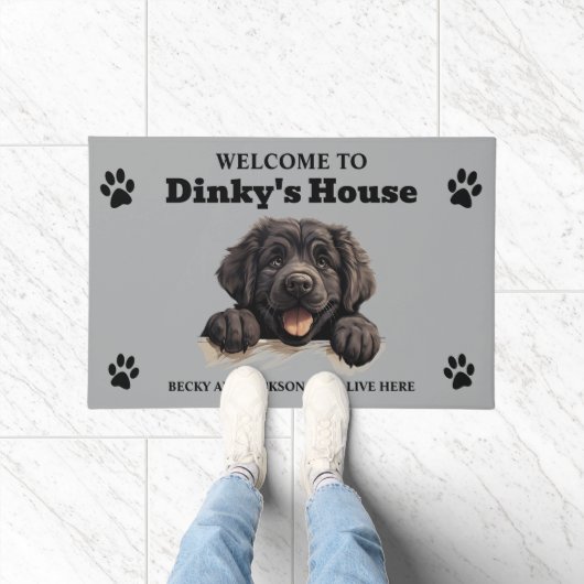 可愛いニューファンドランド犬の写真 ドアマット (室内)