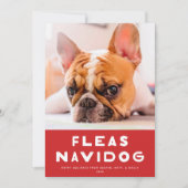 可愛いノミNavidog Petホリデーフォトカード シーズンカード (正面)