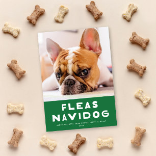 可愛いノミNavidog Petホリデーフォトカード シーズンカード