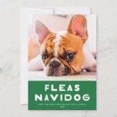 可愛いノミNavidog Petホリデーフォトカード シーズンカード (正面)