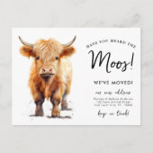 可愛いハイランド牛の引っ越しました新しいアドレス移動 案内ポストカード (正面)