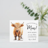 可愛いハイランド牛の引っ越しました新しいアドレス移動 案内ポストカード (スタンド正面)