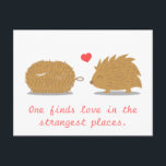 可愛いハリネズミは、スクラブブラシで真の愛を見つける ポストカード<br><div class="desc">可愛いイラストレーション/茶色のスクラブブラシを横切ったハリネズミの漫画と自身に似ているため来に、それを愛する秋。おもしろい読キャプション「最も不思議な場所で愛を見つける。愛するお洒落人々にスマイルをもたらす面白くて愛らしいデザイン。バレンタインデーのような大事な行事やロマンチックな大事な行事には素晴らしい。</div>