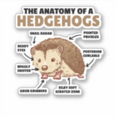 可愛いハリネズミ解説ハリネズミの解剖学 シール (正面)