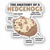 可愛いハリネズミ解説ハリネズミの解剖学 シール (正面)
