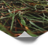 可愛いハート愛あなた母の日の写真 ポスター (角)