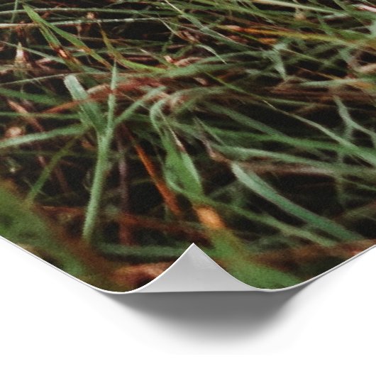 可愛いハート愛あなた母の日の写真 ポスター (角)