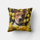 🐕可愛いバセンジパピーとテニスボール クッション (裏面)