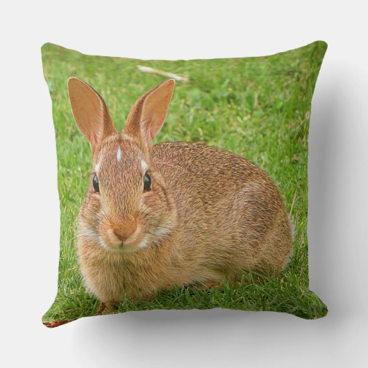 可愛いバニーチューイングリーンズオンザゴルフフェアウェイ クッション (裏面)