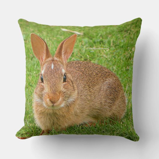 可愛いバニーチューイングリーンズオンザゴルフフェアウェイ クッション (正面)