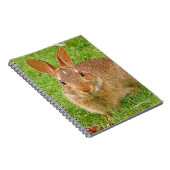 可愛いバニーチューイングリーンズオンザゴルフフェアウェイ ノートブック (右側)