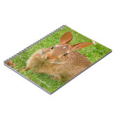 可愛いバニーチューイングリーンズオンザゴルフフェアウェイ ノートブック (左側)