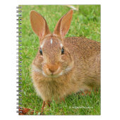 可愛いバニーチューイングリーンズオンザゴルフフェアウェイ ノートブック (正面)