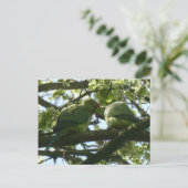 可愛いバラリング付きインコDIYはがき2枚 ポストカード (スタンド正面)