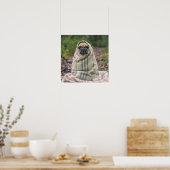 可愛いパグクローズアップポスター ポスター (キッチン)