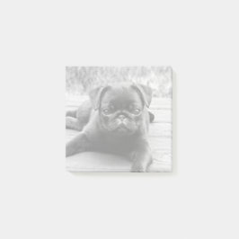 可愛いパグ子犬の恋人の白黒の写真 ポストイット