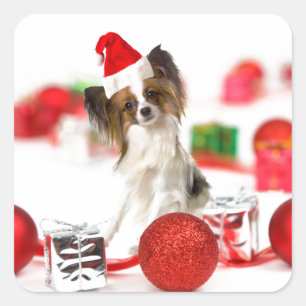 可愛いパピヨンドクリスマスサンタハット スクエアシール