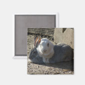 可愛いパン マグネット (正面/裏面)