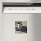 可愛いパン マグネット (インサイチュ (食洗機))