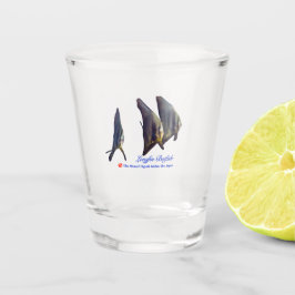 可愛いヒメバマズ ショットグラス