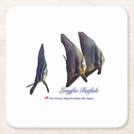 可愛いヒメバマズ スクエアペーパーコースター