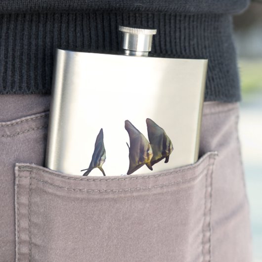 可愛いヒメバマズ フラスク (インサイチュ)