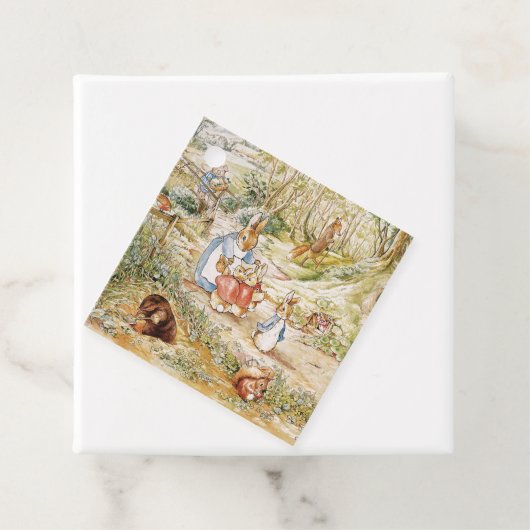 可愛いビアトリックス・ポッター・ピーター&フレンズ フェイバータグ (インサイチュ)