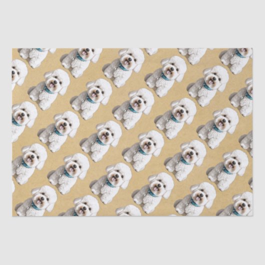 可愛いビコンフリーズ紙背景 薄葉紙 (正面)