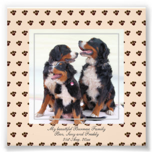 可愛いビルマの山犬PHOTO Named Keepsake フォトプリント