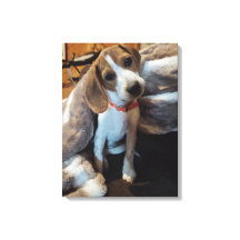 可愛いビーグルの子犬と毛皮のブランケットのキャンバス印刷