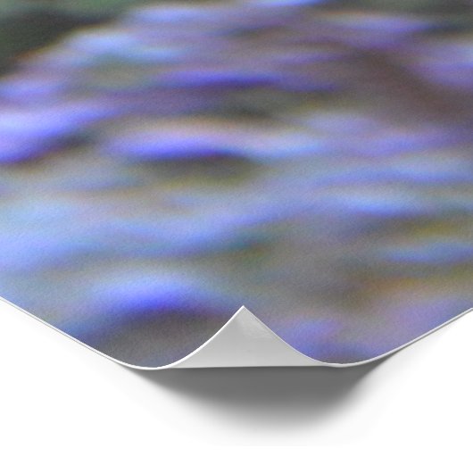 可愛いピエロ海Anemoneサンゴ水中写真 ポスター (角)