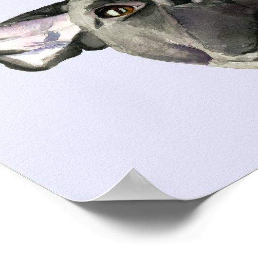 可愛いピットブルドッグ私はあなたをわ絵画き水色 ポスター (角)