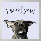 可愛いピットブルドッグ私はあなたをわ絵画き水色 ポスター (正面)