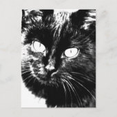 可愛いファンキー黒猫キッテンアイスケッチ ポストカード (正面)