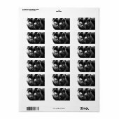 可愛いファンキー黒猫キッテンアイスケッチ ラベル (フルシート)