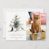 可愛いフォトウォーターカラーめくりクリスマスツリー猫 シーズンカード (正面)