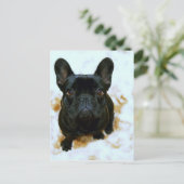 可愛いフランスのブルドッグパピー! ポストカード (スタンド正面)