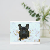 可愛いフランスのブルドッグパピー！ ポストカード (スタンド正面)